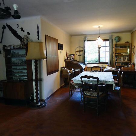 Chambre dans propriété La Croix du Sud Le Pradet Esterno foto